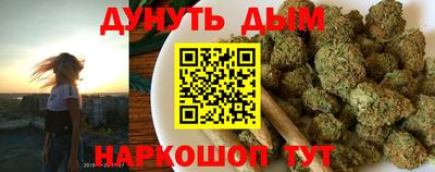 прущие грибы Канаш