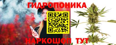 прущие грибы Канаш