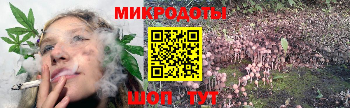 Галлюциногенные грибы GOLDEN TEACHER  Вход с VPN  Волгоград 