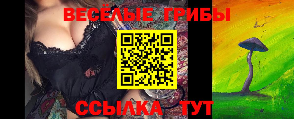 Псилоцибиновые грибы GOLDEN TEACHER Волгоград
